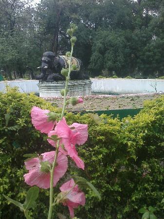 Maharaj Bagh Zoo